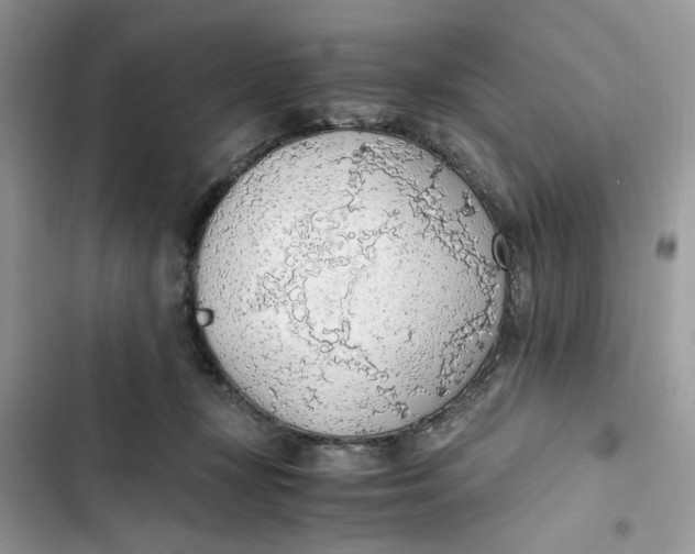 X0000103410367200810031252