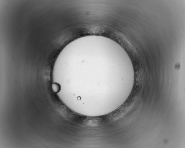 X0000103410368200810031252