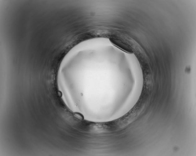 X0000103410372200810031252