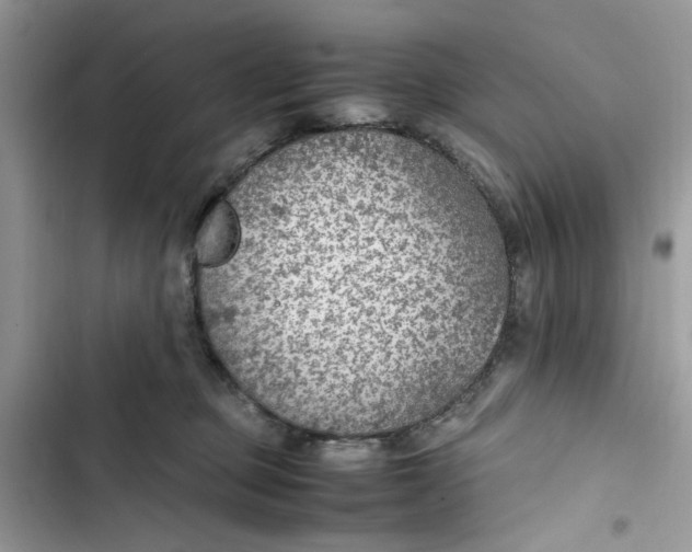 X0000103410373200810031252