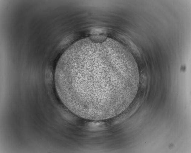 X0000103410375200810031252