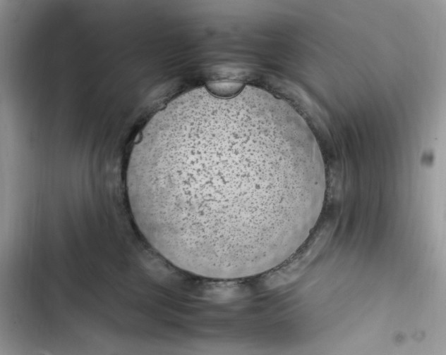 X0000103410377200810031252