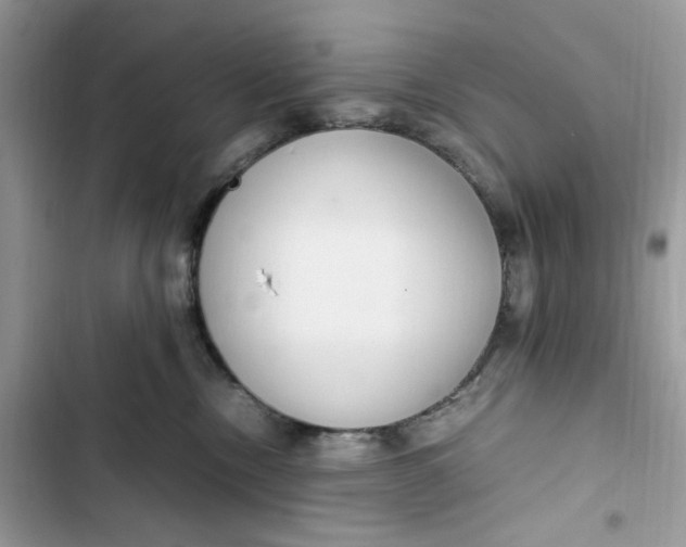 X0000103410378200810031252