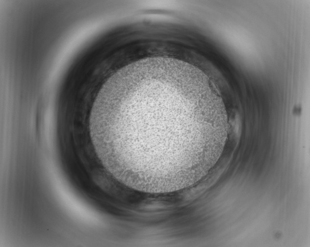 X0000103410381200810031252