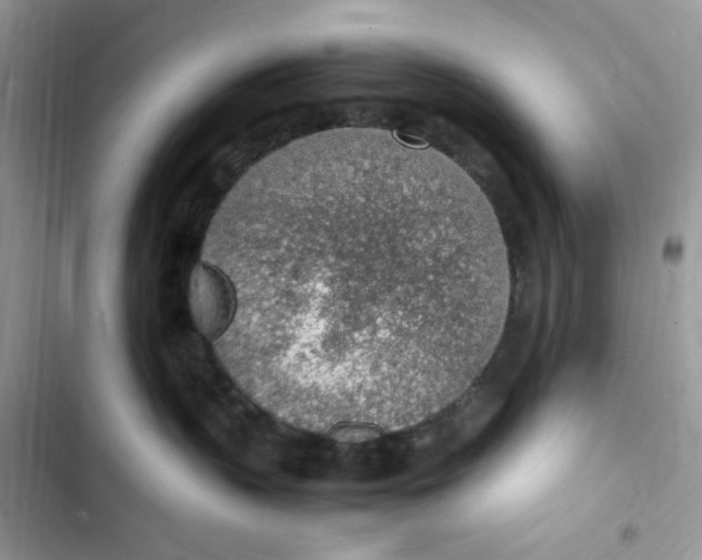 X0000103410383200810031252