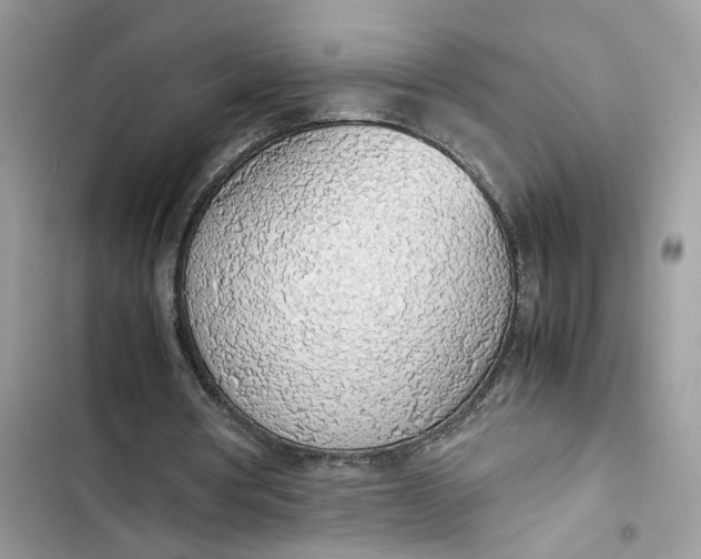 X0000103410386200810031251