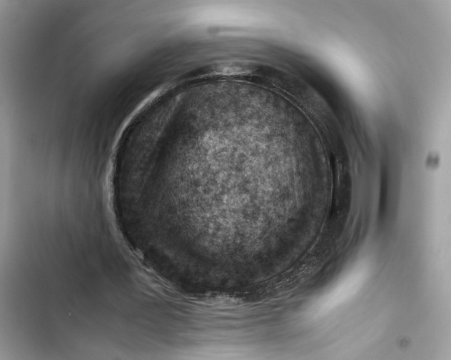 X0000103410387200810031251