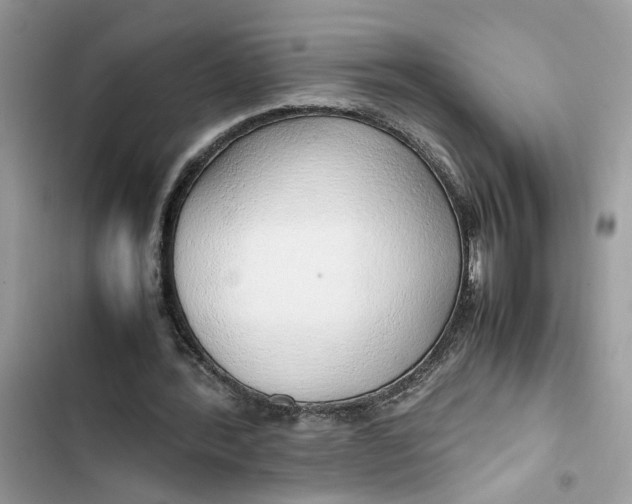 X0000103410388200810031251