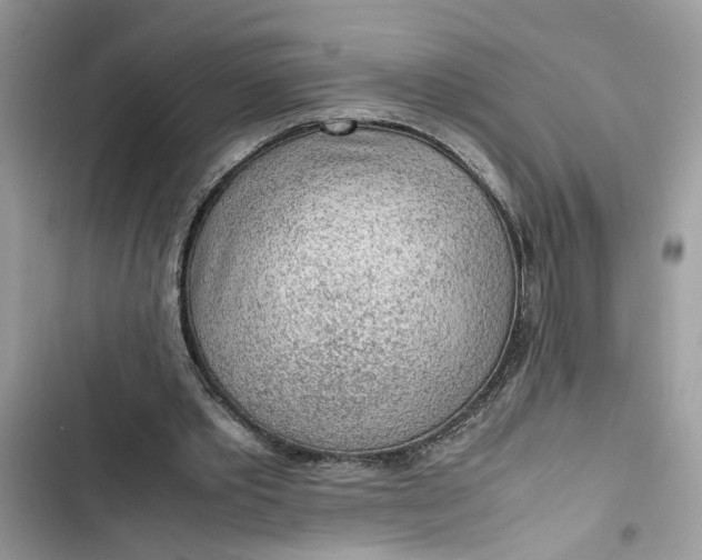 X0000103410389200810031251