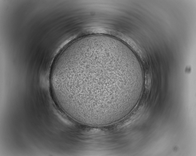 X0000103410390200810031251