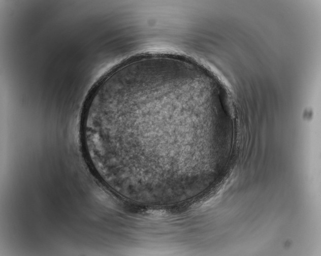 X0000103410391200810031251