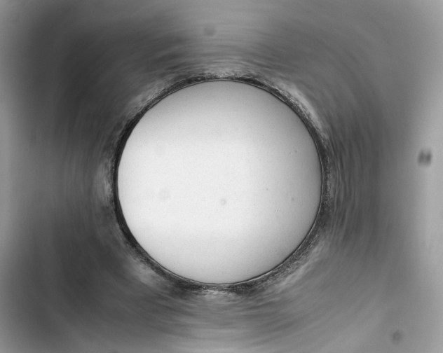 X0000103410393200810031251