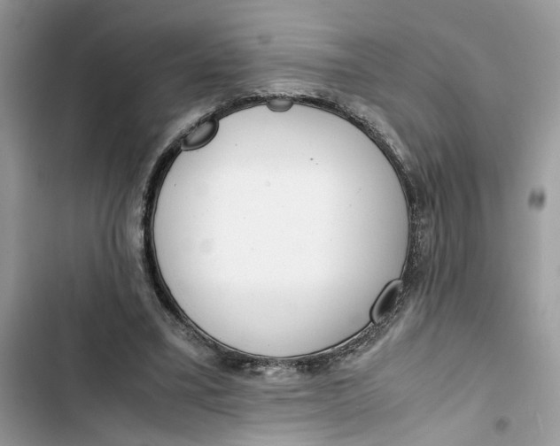 X0000103410395200810031251