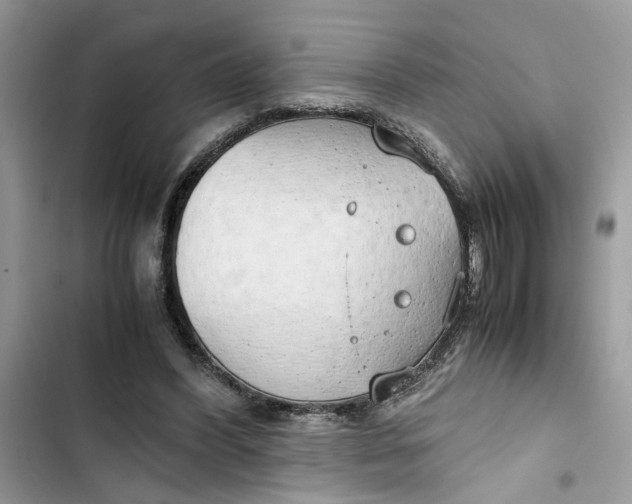 X0000103410396200810031251