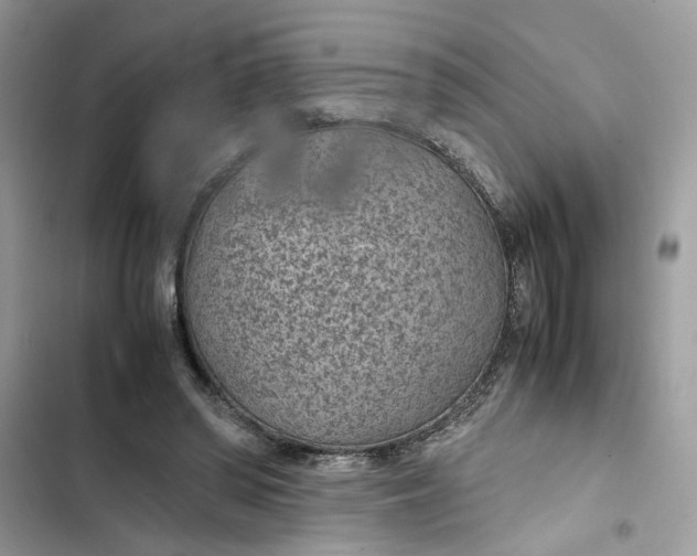 X0000103410398200810031251