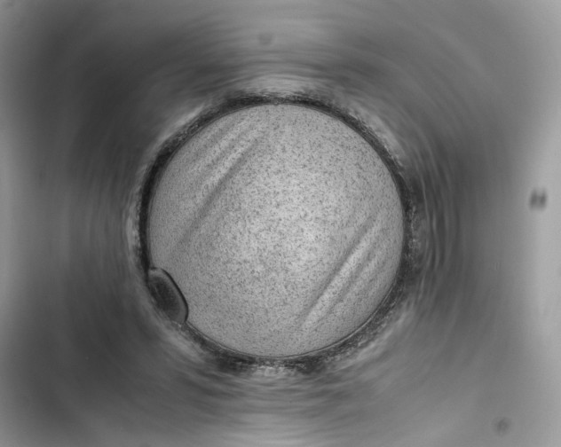 X0000103410399200810031251