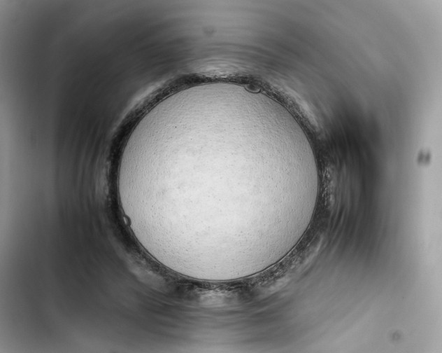 X0000103410400200810031251