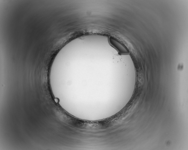 X0000103410401200810031251