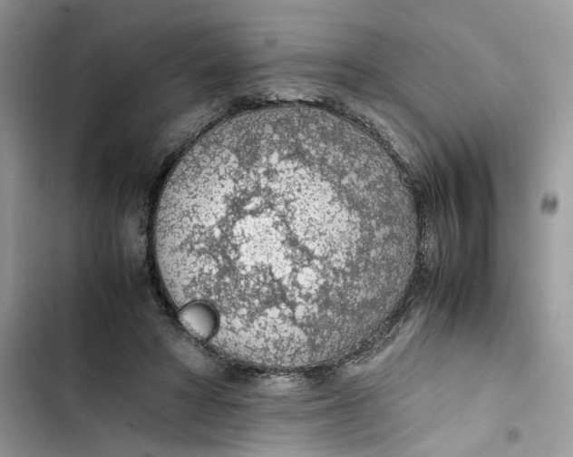 X0000103410402200810031251