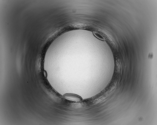 X0000103410404200810031251