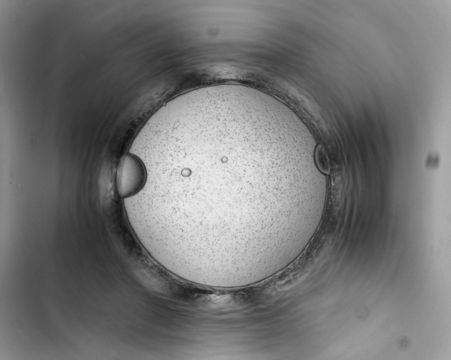 X0000103410406200810031251