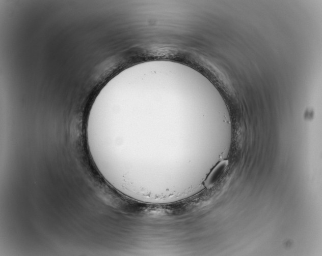 X0000103410407200810031251