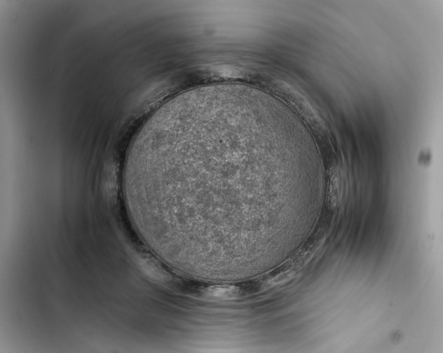 X0000103410410200810031251