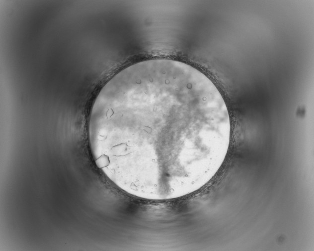 X0000103410411200810031251