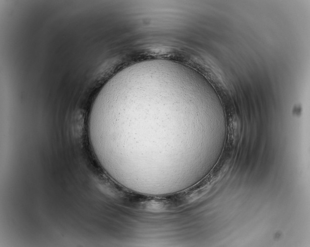 X0000103410412200810031251