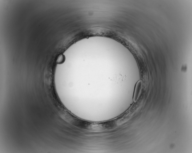 X0000103410413200810031251