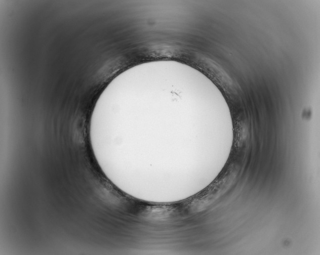 X0000103410414200810031251