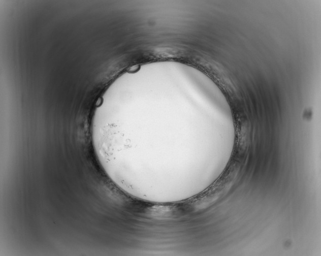 X0000103410418200810031250