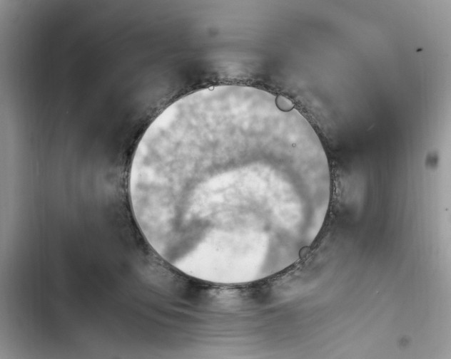 X0000103410419200810031250