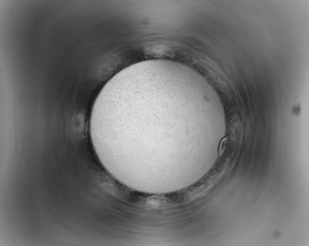 X0000103410420200810031250