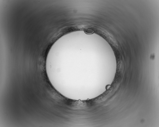 X0000103410421200810031250