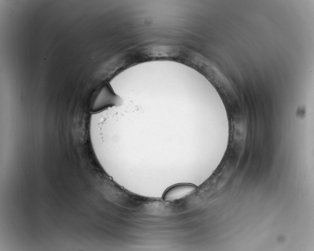 X0000103410422200810031250