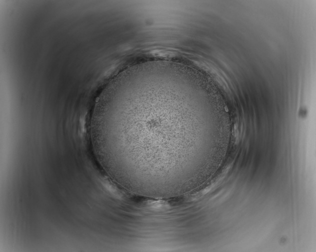 X0000103410424200810031250