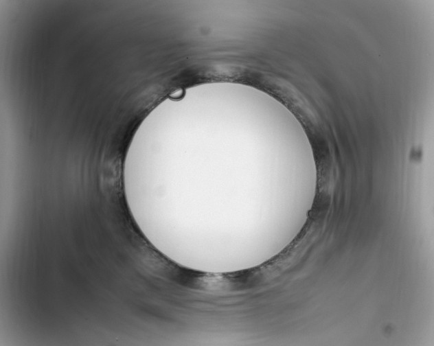 X0000103410425200810031250