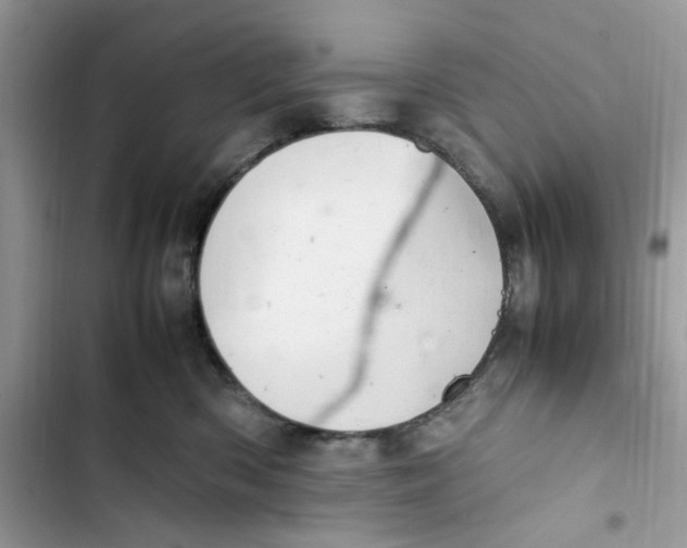 X0000103410426200810031250