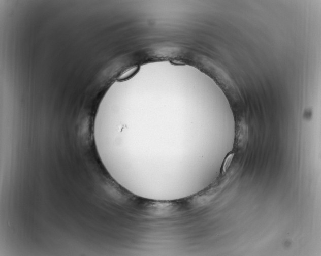 X0000103410428200810031250