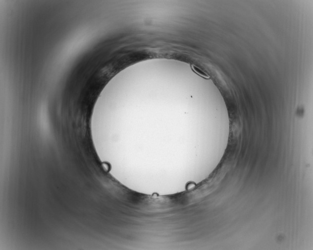 X0000103410429200810031250