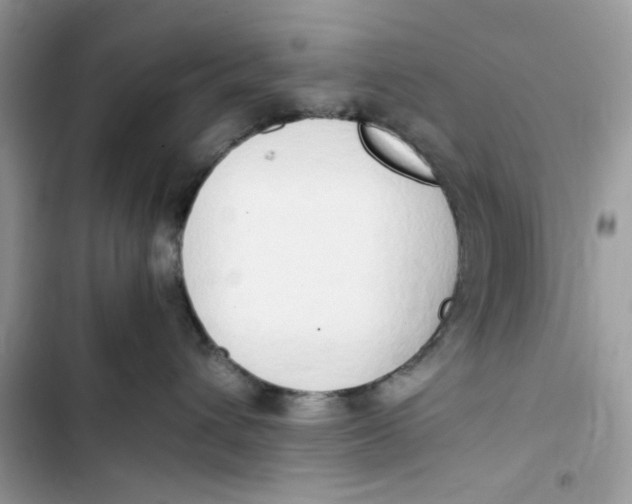 X0000103410432200810031250