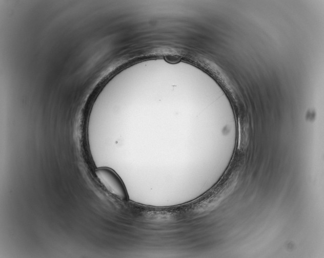 X0000103410435200810031250