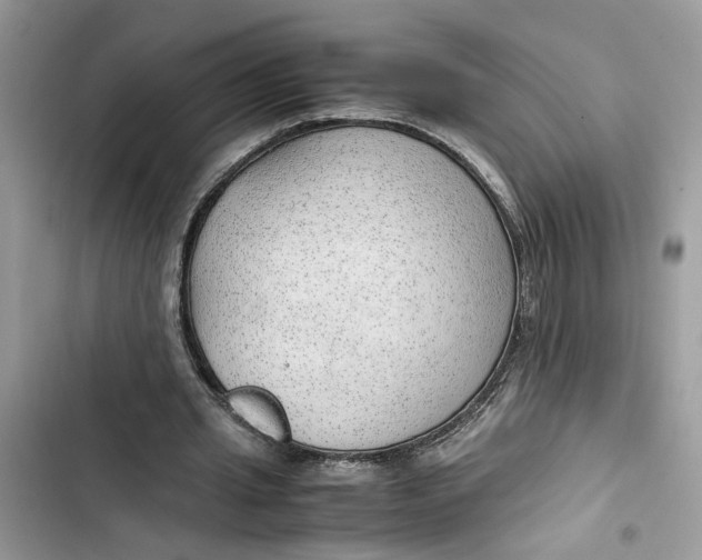 X0000103410437200810031250