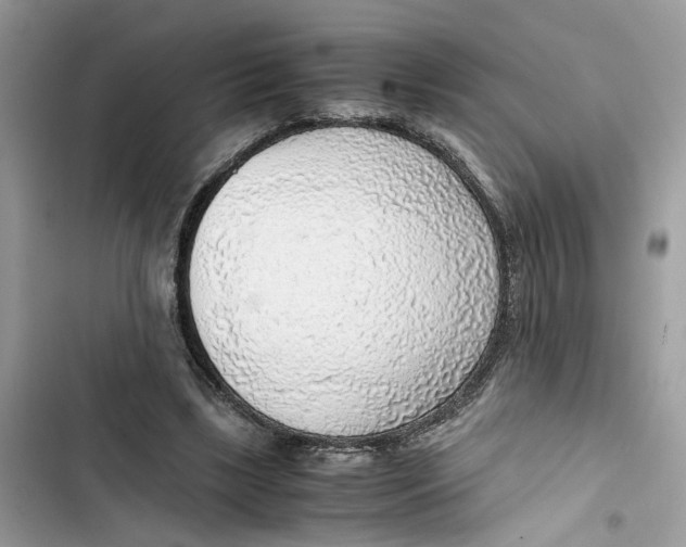 X0000103410443200810031250