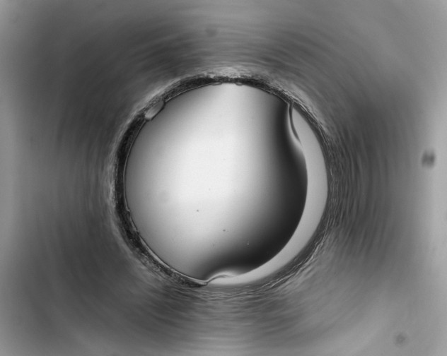 X0000103410444200810031250