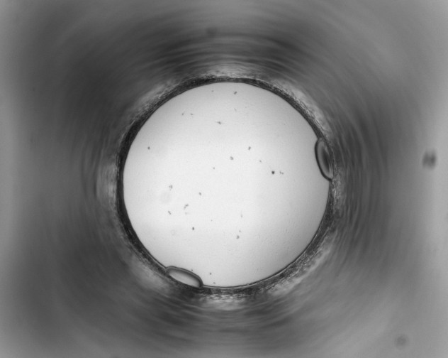 X0000103410445200810031250