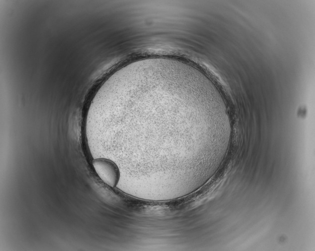 X0000103410446200810031250