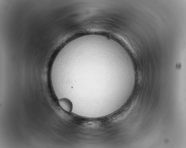 X0000103410447200810031250