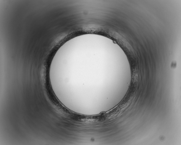 X0000103410448200810031250